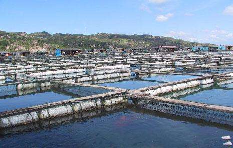 德瑞亞空壓機助力淡水養(yǎng)殖，營造和諧水產(chǎn)市場