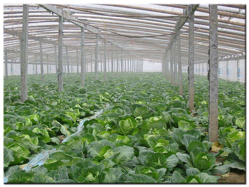 德瑞亞空壓機(jī)助力食品加工，節(jié)能無止盡